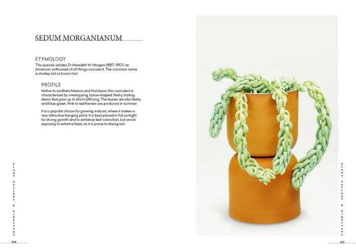 Prick - Cacti & Succulents: Choosing, Styling, Caring | Hardcover Book Beaglier Books 