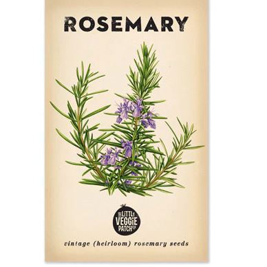 Rosemary "Rosy" Heirloom Seeds Herb Seeds The LIttle Vege Patch Co 