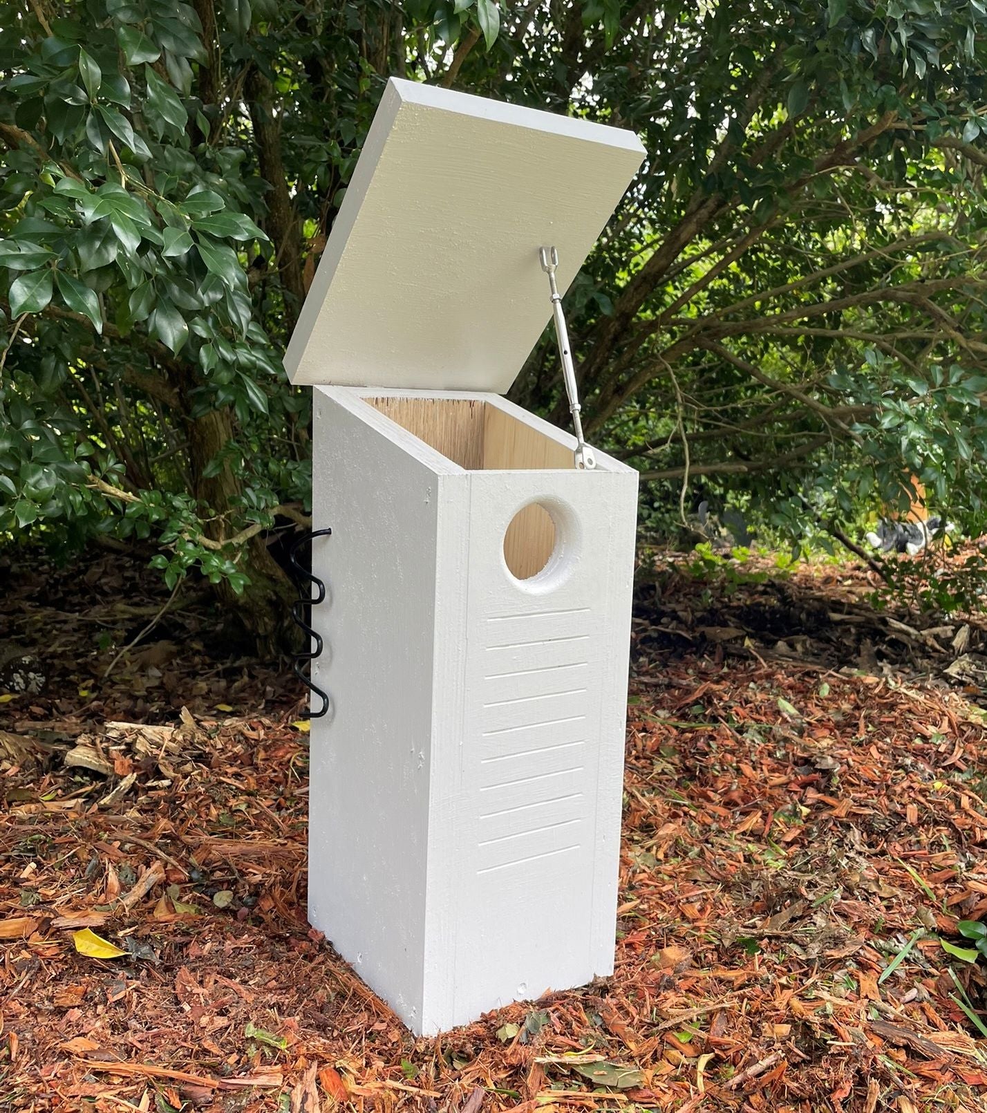 Small Parrot Nest Box – Rainbow Lorikeet, Red-Rumped Parrot & Treecreeper Bird Nesting Box ABeeC Hives 