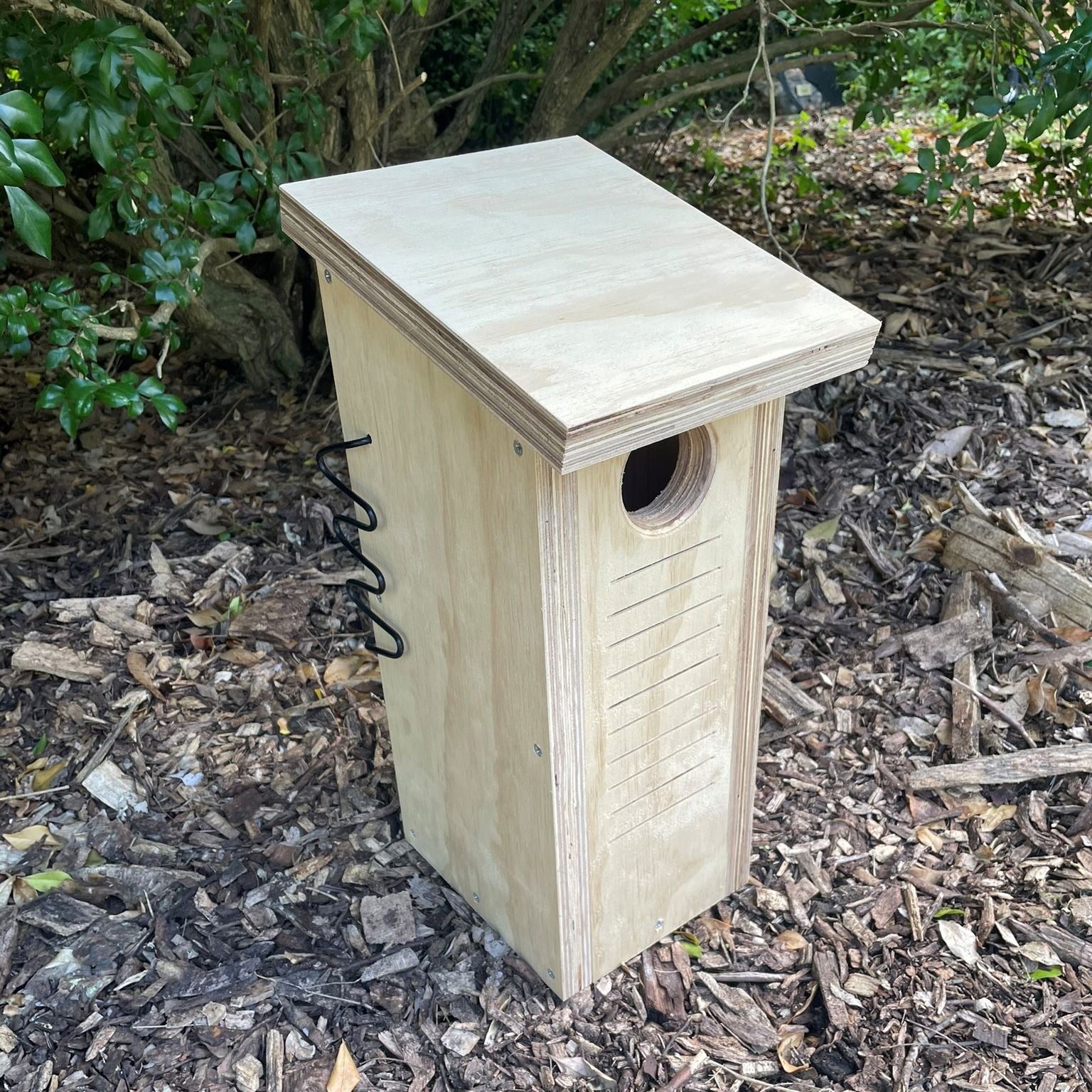 Small Parrot Nest Box – Rainbow Lorikeet, Red-Rumped Parrot & Treecreeper Bird Nesting Box ABeeC Hives 