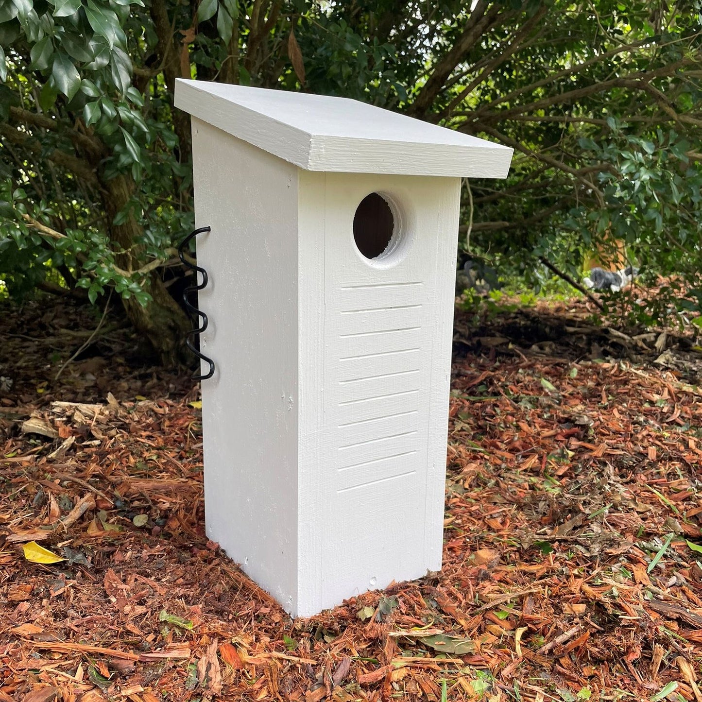 Small Parrot Nest Box – Rainbow Lorikeet, Red-Rumped Parrot & Treecreeper Bird Nesting Box ABeeC Hives 