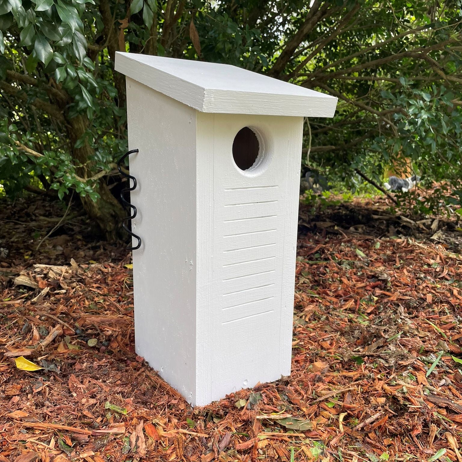 Small Parrot Nest Box – Rainbow Lorikeet, Red-Rumped Parrot & Treecreeper Bird Nesting Box ABeeC Hives 