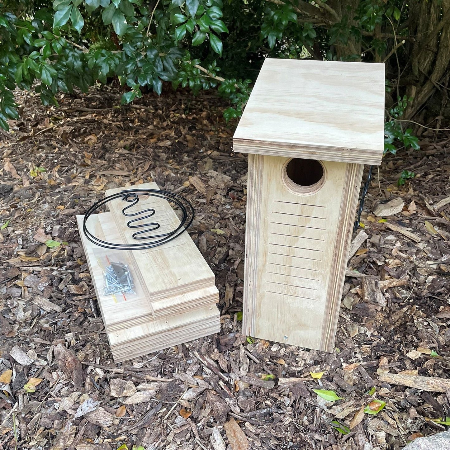Small Parrot Nest Box – Rainbow Lorikeet, Red-Rumped Parrot & Treecreeper Bird Nesting Box ABeeC Hives 