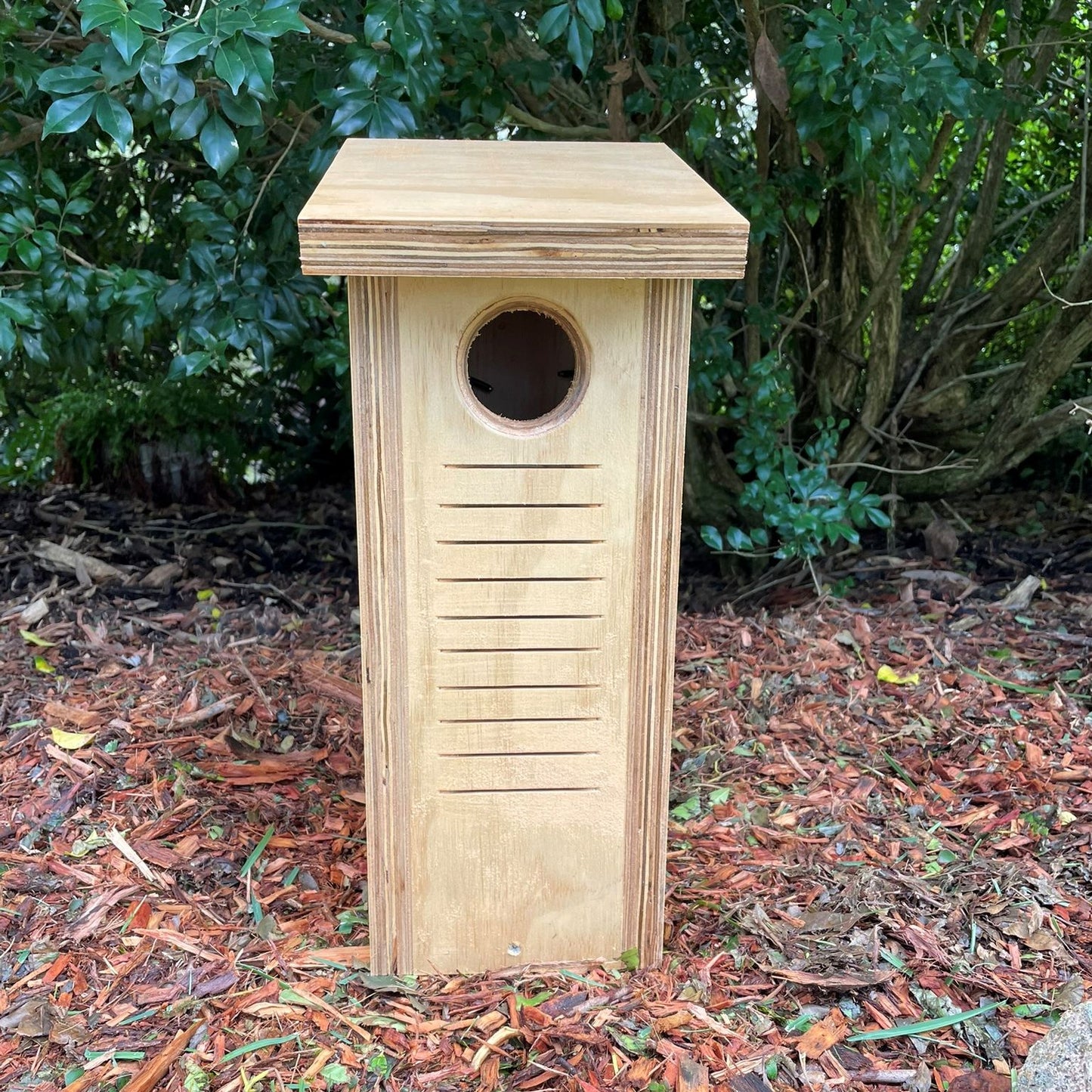 Small Parrot Nest Box – Rainbow Lorikeet, Red-Rumped Parrot & Treecreeper Bird Nesting Box ABeeC Hives Built - Clear Coat 