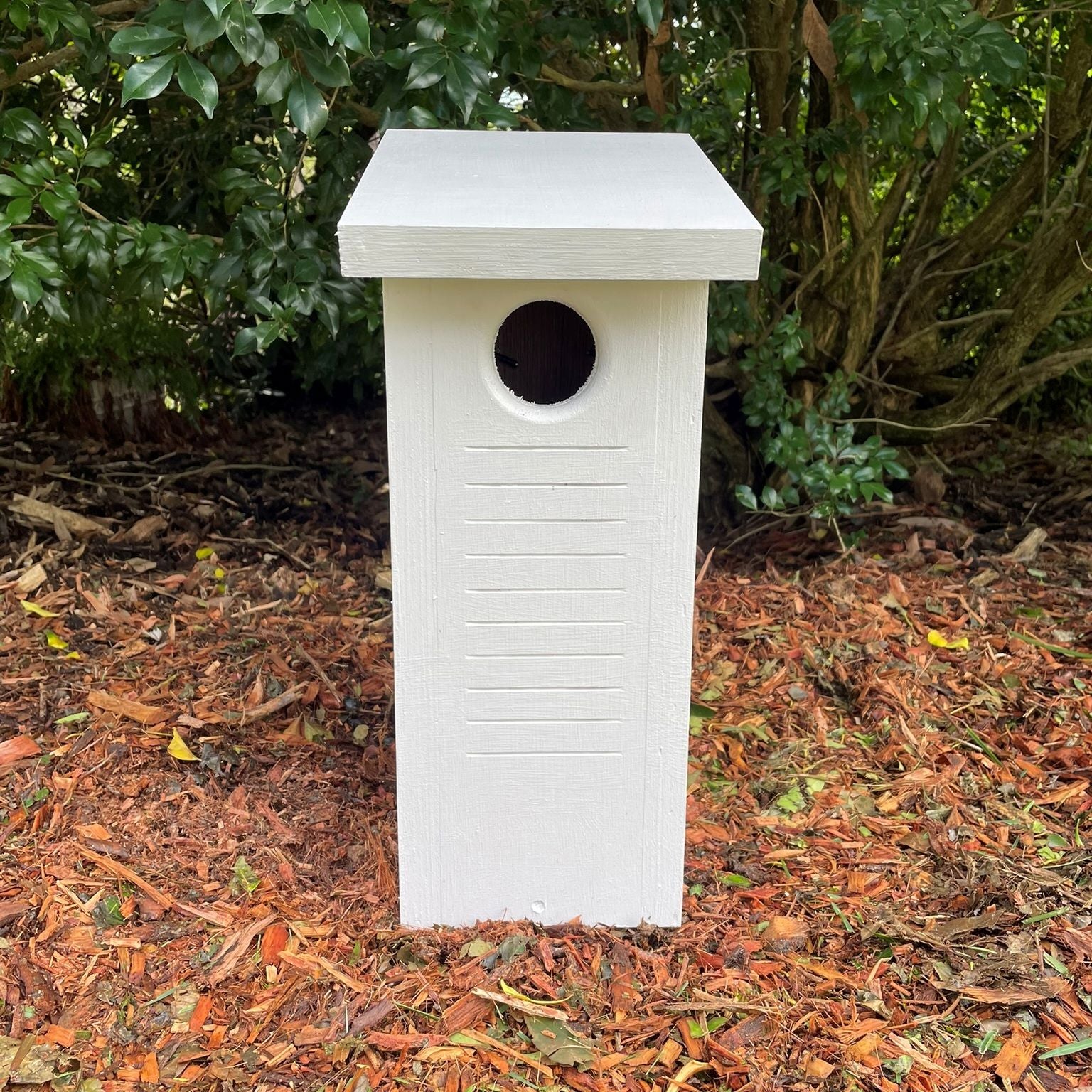Small Parrot Nest Box – Rainbow Lorikeet, Red-Rumped Parrot & Treecreeper Bird Nesting Box ABeeC Hives Built - Painted 