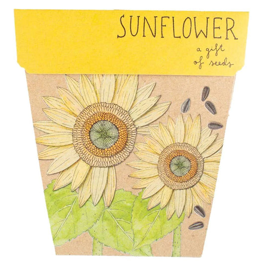 Sunflower Gift of Seeds Seeds Sow 'n Sow 