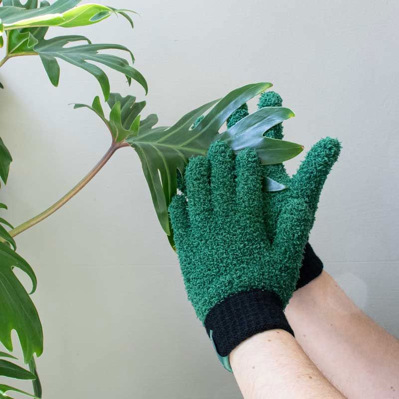 The Plant Runner Leaf Love Gloves Leaf Cleaning Gloves The Plant Runner 
