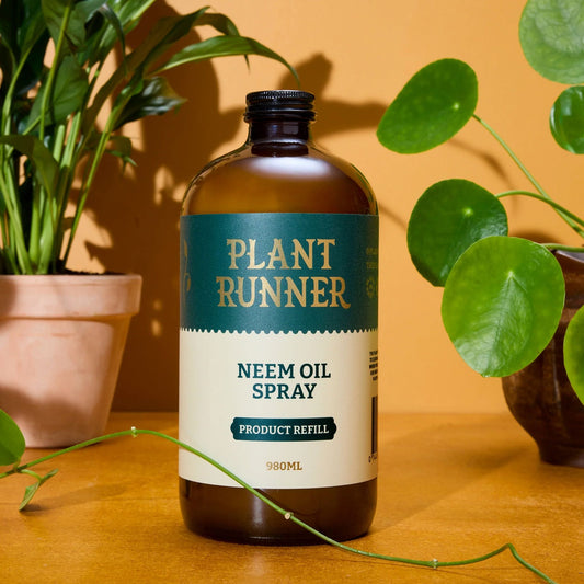 The Plant Runner Neem Oil - 1L Refill Bottle The Plant Runner 