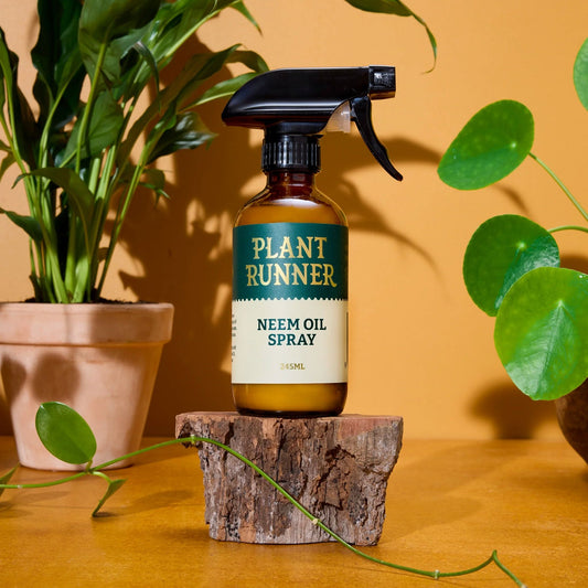 The Plant Runner Neem Oil - 250ml Neem Oil The Plant Runner 