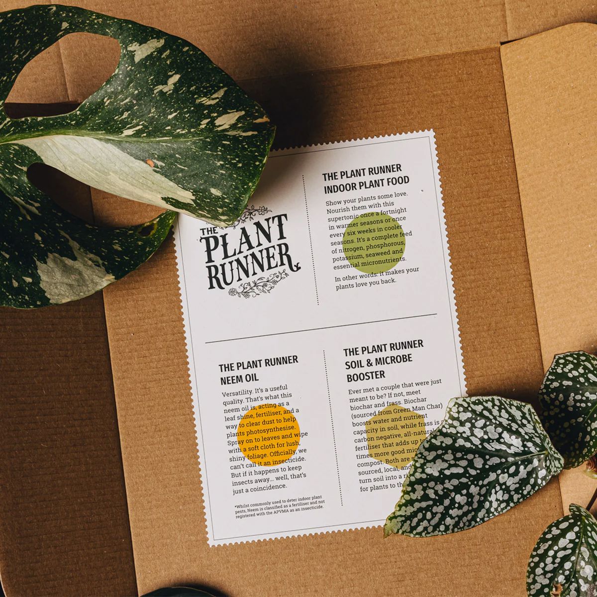 The Plant Runner Plant Care Booster Kit - Mother's Day Plant Care Kit The Plant Runner 