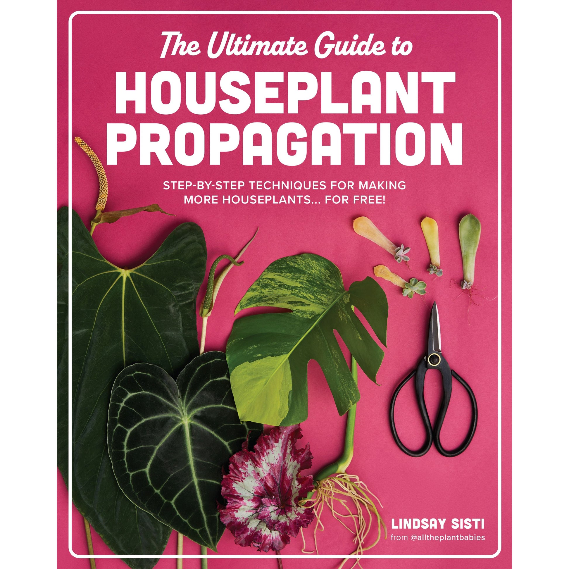 The Ultimate Guide to Houseplant Propagation | Hardcover Book Beaglier Books 