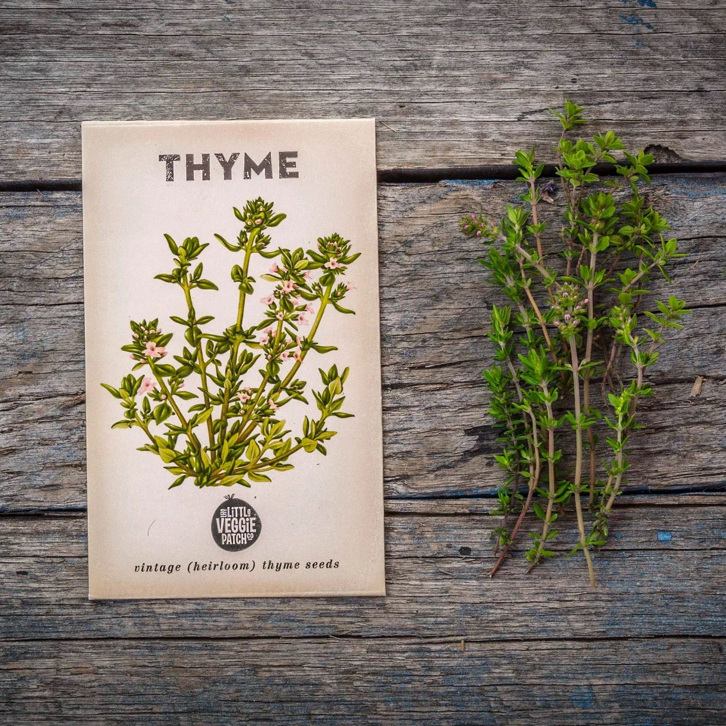 Thyme "Summer" Heirloom Seeds Herb Seeds The LIttle Vege Patch Co 