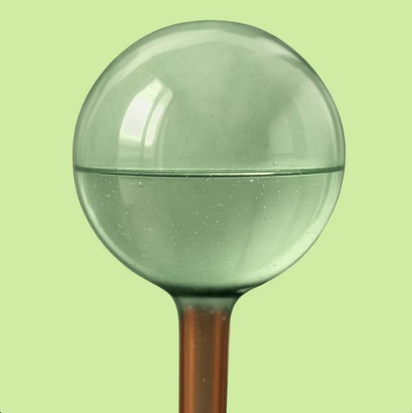 We The Wild Self-Watering Glass Plant Globe Self-Watering Plant Globe We the Wild Plant Care - Australia 