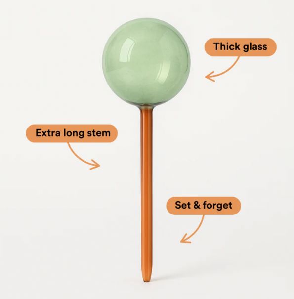 We The Wild Self-Watering Glass Plant Globe Self-Watering Plant Globe We the Wild Plant Care - Australia 