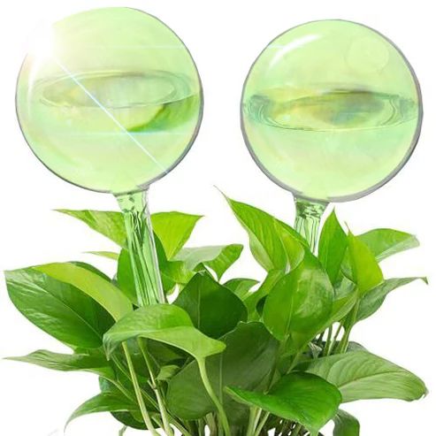 We The Wild Self-Watering Glass Plant Globes - Pk 2 Self-Watering Plant Globe We the Wild Plant Care - Australia 