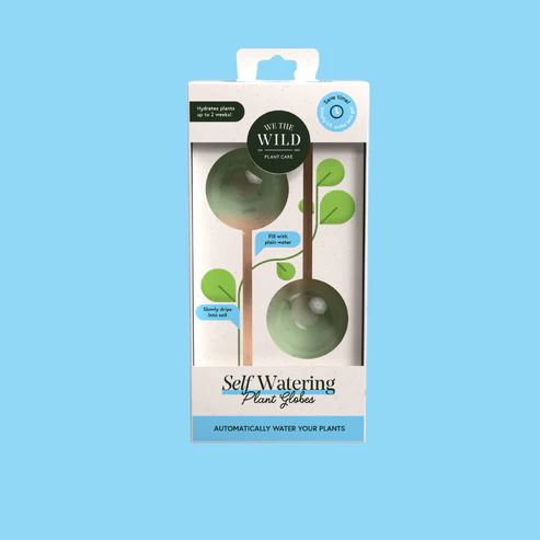 We The Wild Self-Watering Glass Plant Globes - Pk 2 Self-Watering Plant Globe We the Wild Plant Care - Australia 