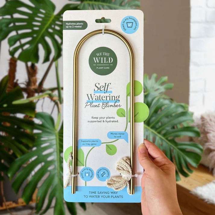 We The Wild Self-Watering Plant Climber Plant Climber We The Wild 
