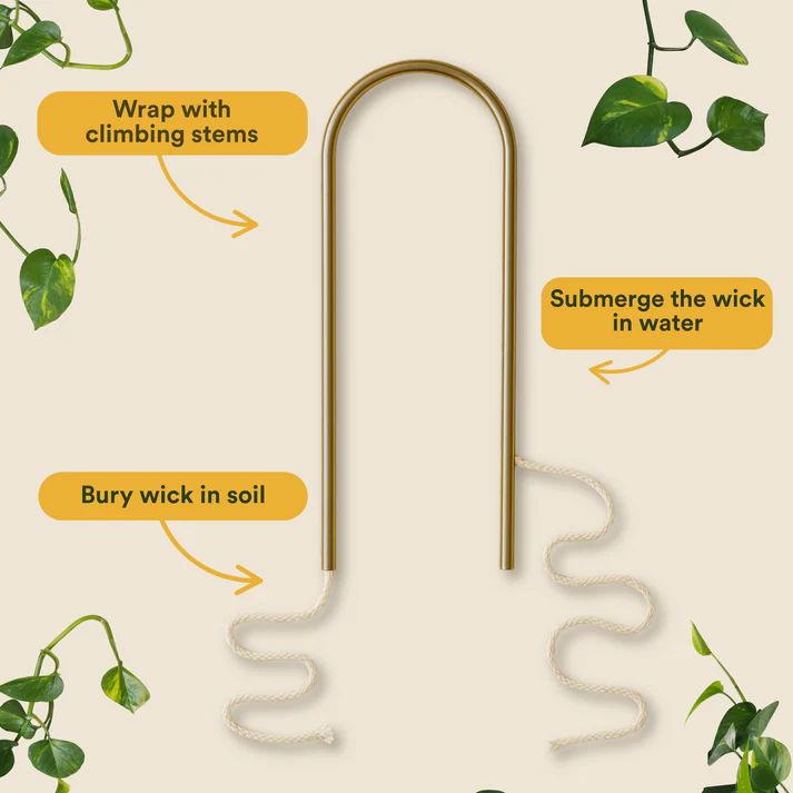 We The Wild Self-Watering Plant Climber Plant Climber We The Wild 