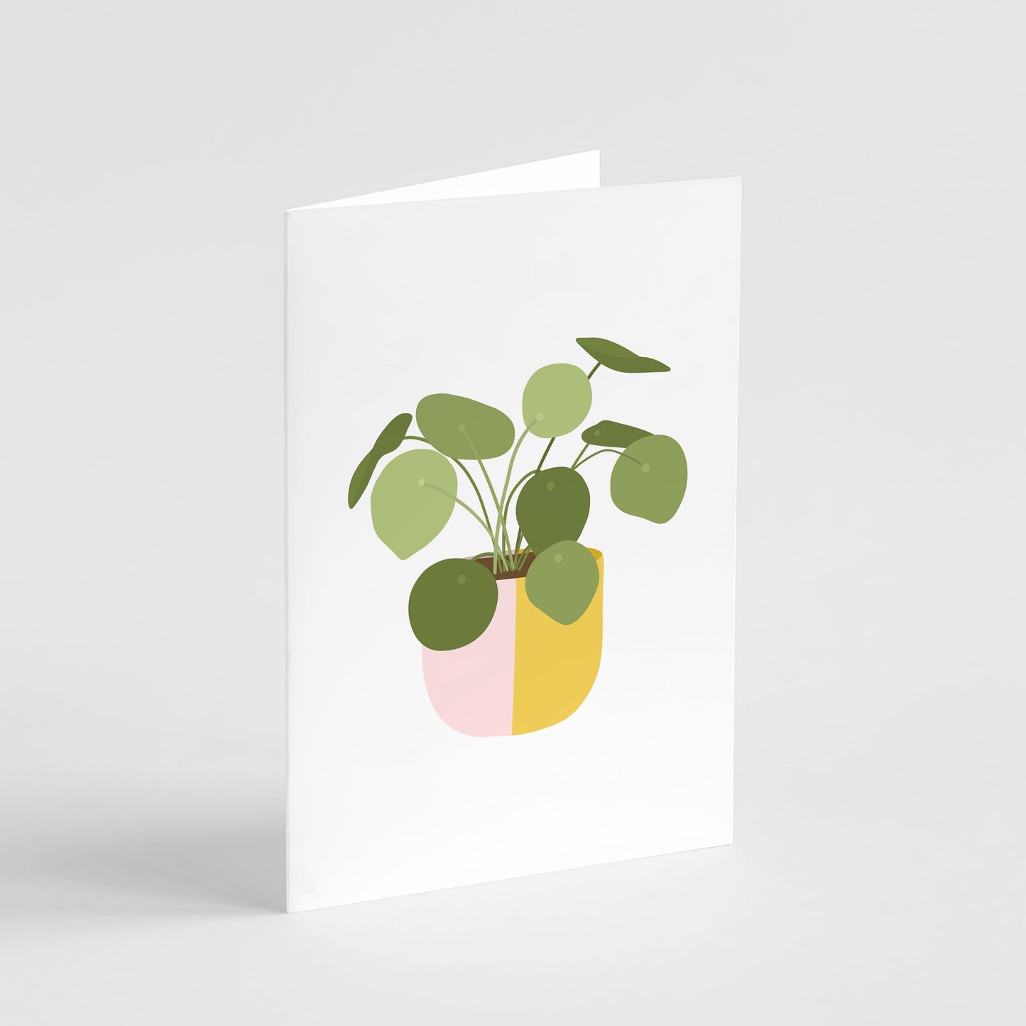 Chinese Money Plant Card Greeting Card Popsy Press 