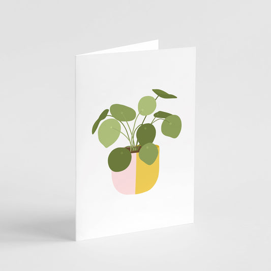 Chinese Money Plant Card Greeting Card Popsy Press 