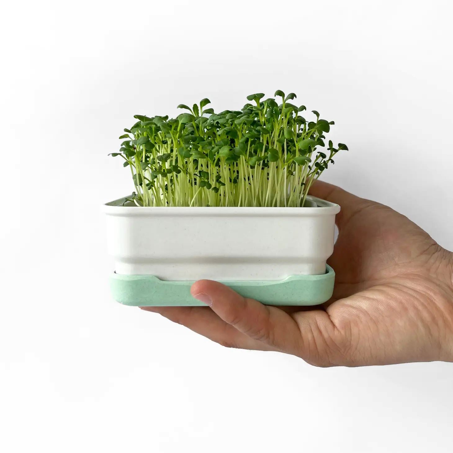 Micropod Mini Starter Kit - Seafoam Microgreens Grow Kit Micropod 