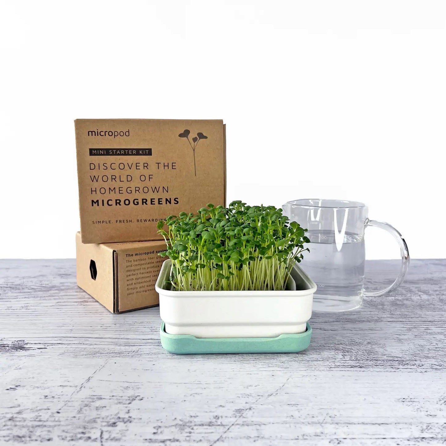 Micropod Mini Starter Kit - Stone Microgreens Grow Kit Micropod 