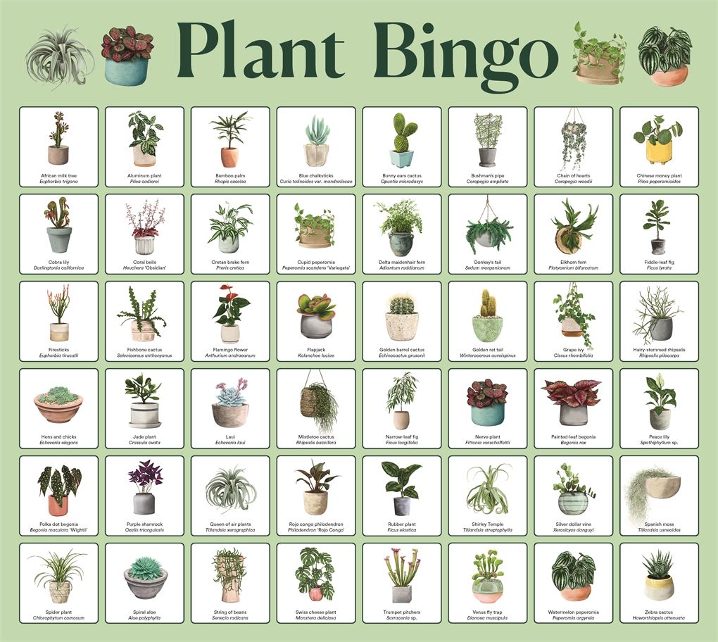 Plant Bingo Game Brumby Sunstate 